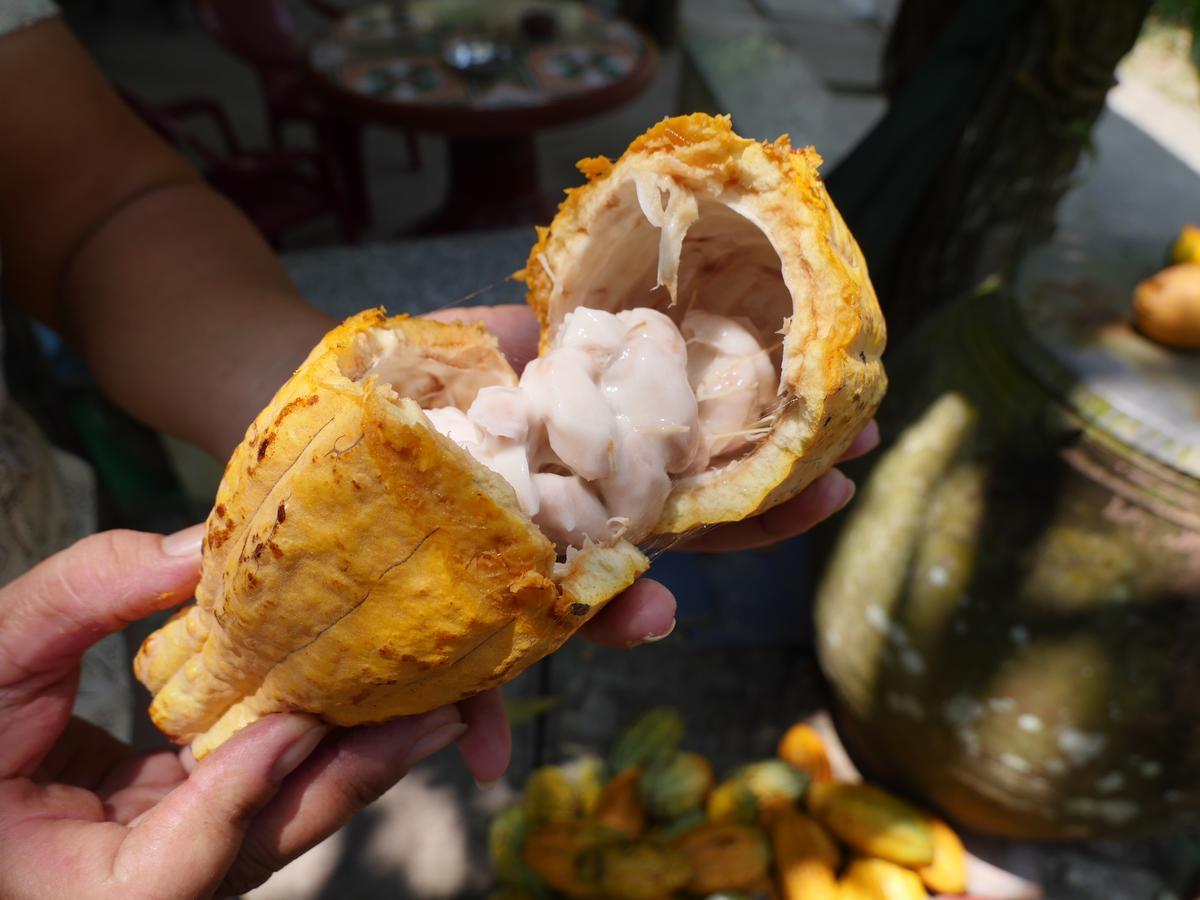 Thanh Ha Guesthouse Can Tho Bagian luar foto