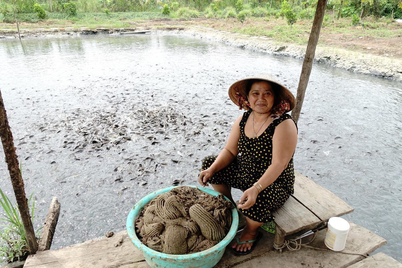 Thanh Ha Guesthouse Can Tho Bagian luar foto